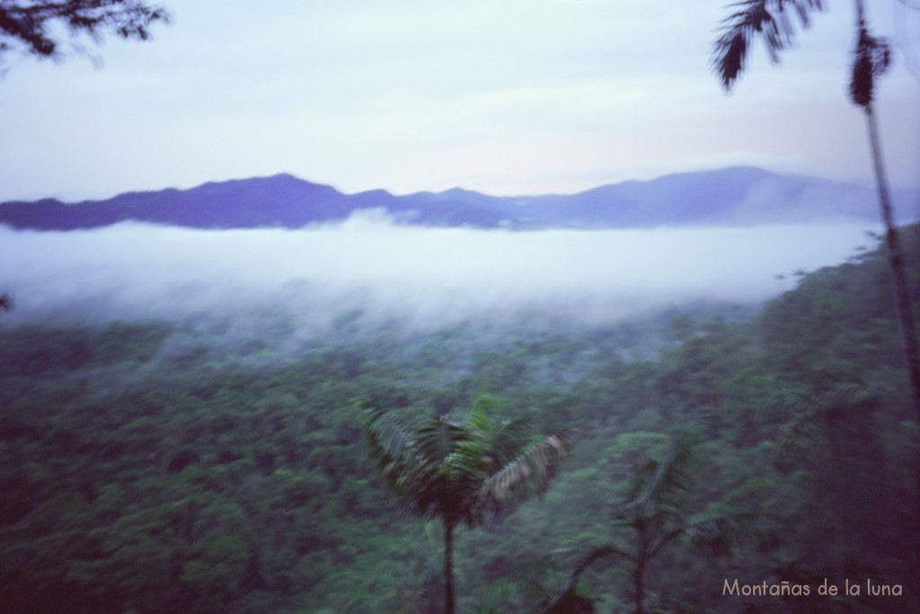 Niebla y mal tiempo desde el mirador a la selva en la Reserva Nantar